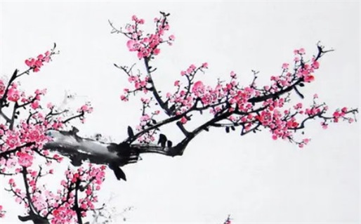 2026年03月09日领证好吗 今日领证结婚好不好