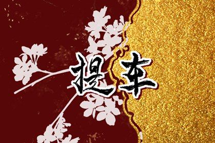 2025年10月30日提车日子如何 宜提车吉日查询
