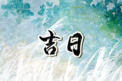 2025年07月14日提车吉日查询 是提车好日子吗